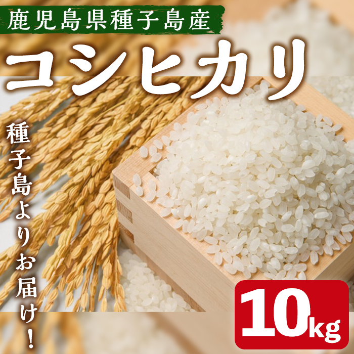 n360 ＜期間限定！＞種子島のお米！コシヒカリ(10kg) 国産 鹿児島県産 種子島 コシヒカリ こしひかり 米 お米 おこめ 白米 【なかたね農産】