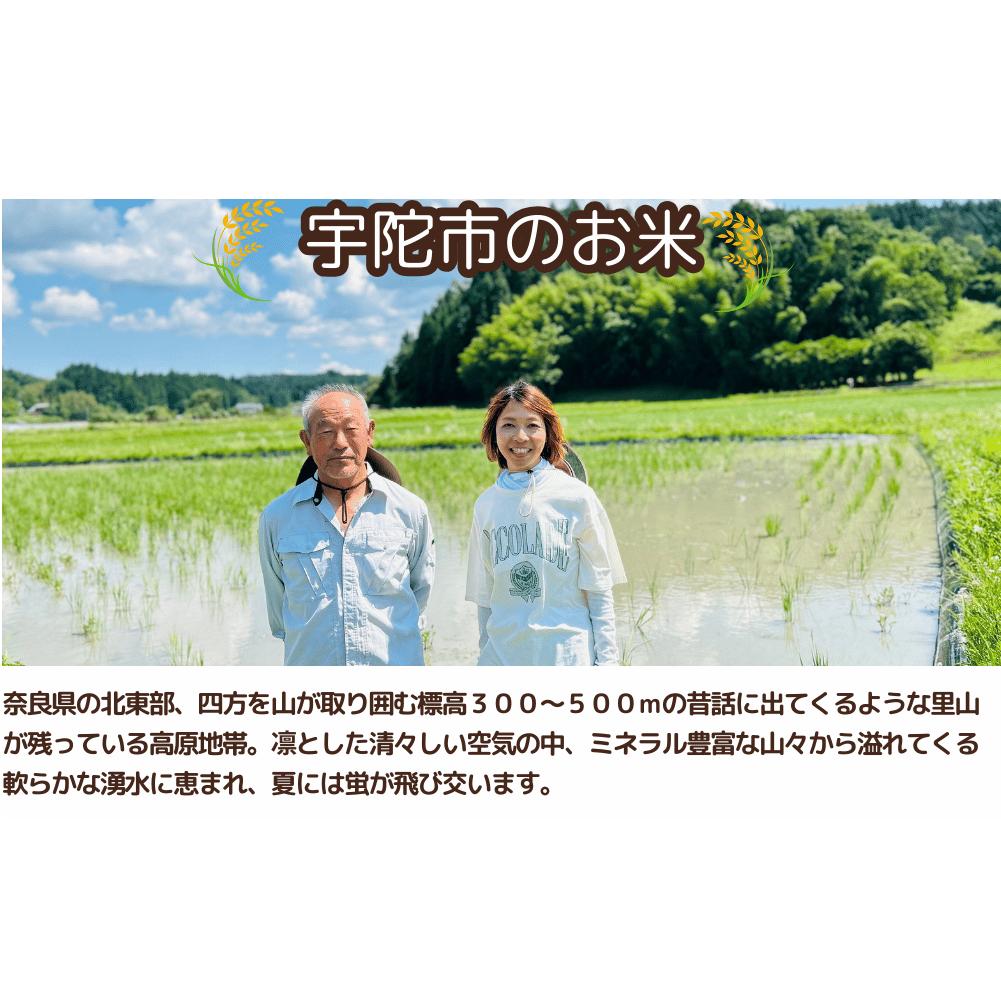 先行予約★自然栽培米 ★2カ月毎６回★新米 【令和6年産 】玄米 5kg ９月末より順次発送/自然栽培米 新米 令和6年産 玄米  農家やまおか 無農薬 国産 お米 奈良県 宇陀市_イメージ2