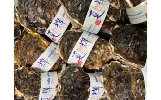 ＜土日祝着＞＜6月中旬～7月上旬頃順次配送＞今が旬！天然岩牡蠣(5～6個)