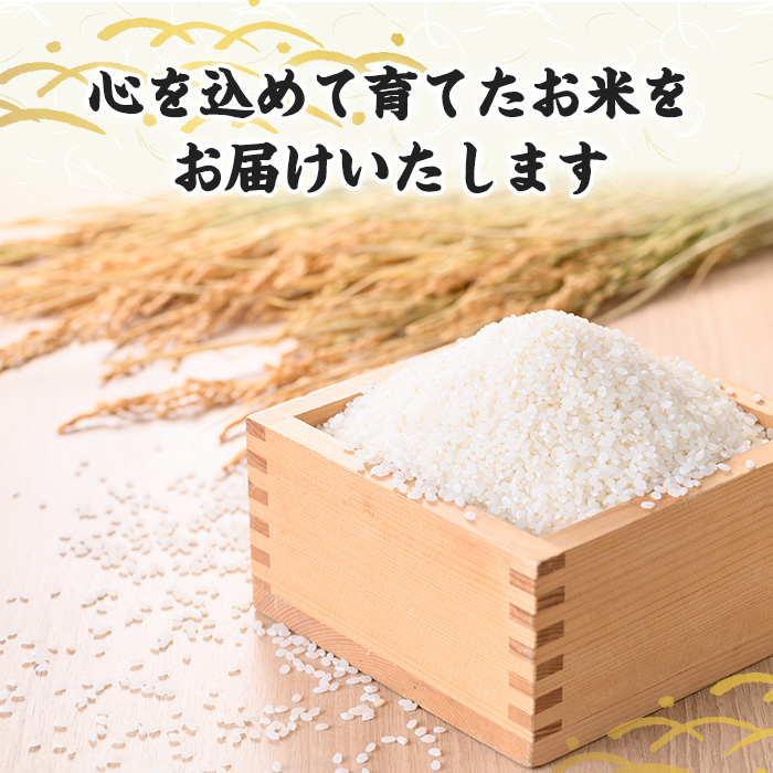 【パックご飯】福岡県産米 元気つくし(計24パック) お米 米 コメ おこめ こめ 元気つくし 小分け 白米 ごはん ご飯 福岡県産 ブランド米 常温 常温保存 金のめし丸 非常用 保存食 備蓄 防災 【農産物直売所ほたるの里】as52-036