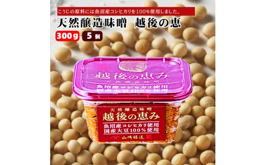 10P165 天然醸造味噌　越後の恵み300g×5個