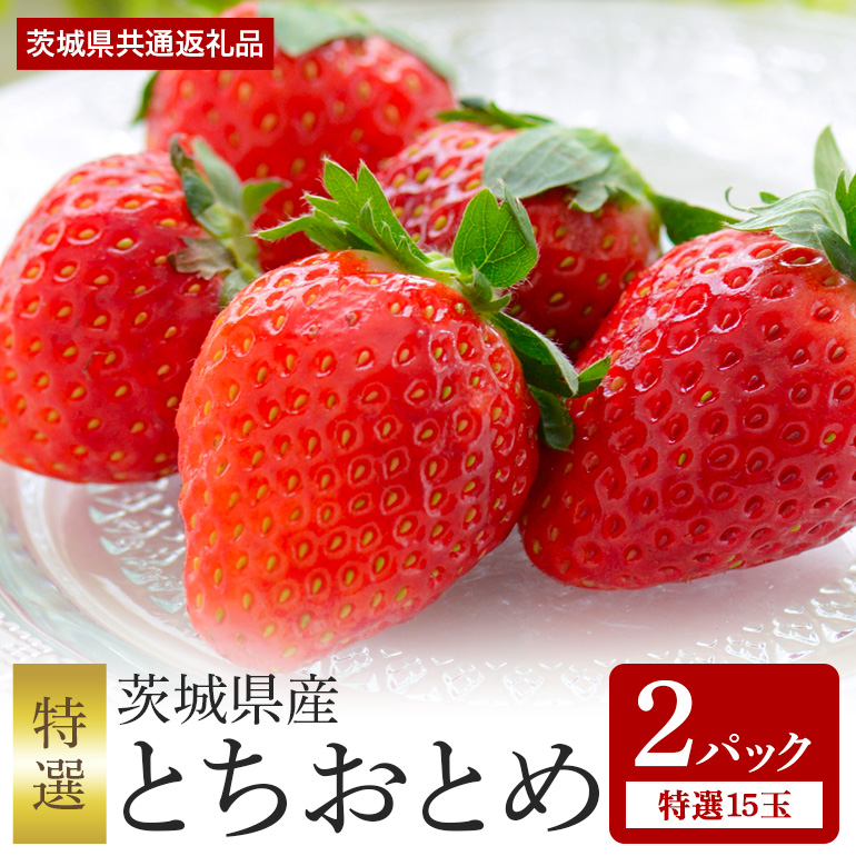 とちおとめ 特選15玉 2パック ＜2026年1月中旬～3月上旬発送予定＞ （茨城県共通返礼品 石岡市） 71-F