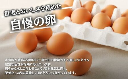 【定期便】忍野の平飼い放牧卵　12か月連続定期便（毎月30個×12か月　合計360個）|たまご 卵かけご飯 たまご タマゴ 健康 玉子