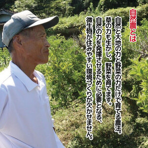 すだち 徳島 2kg 2025年 先行予約 皮ごと食べられる スダチ さんま 焼き 魚 定食 こめ 米 野菜 果物 みかん 柑橘 フルーツ 果物 食品 人気 おすすめ 送料無料 健康 ビタミンC クエ