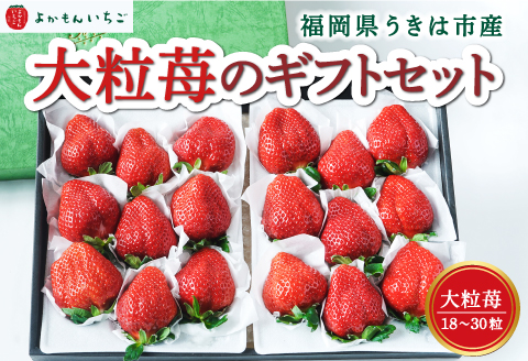 よかもんいちご 大粒苺のギフトセットB 2024年12月5日から12月30日 出荷予定