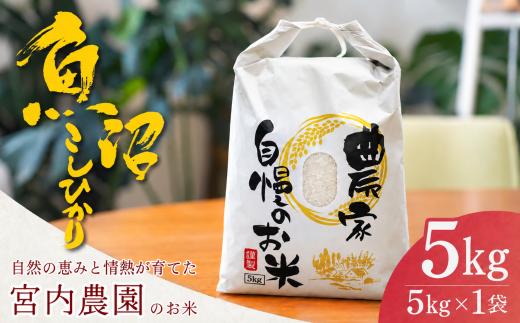 【コシヒカリ 5kg】令和8年産 新米 先行予約 魚沼産コシヒカリ 精米5kg 宮内農園 | 魚沼産こしひかり 魚沼コシヒカリ 新潟県産コシヒカリ 新潟産コシヒカリ 新潟県産こしひかり こしひかり お米 米 白米 精米 ブランド米 コメ 5キロ にいがた おぢや 新潟県 小千谷市 【0002-MN03】