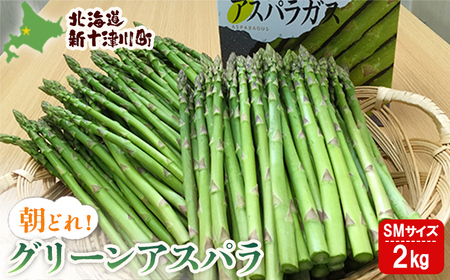 【先行受付】グリーンアスパラSMサイズ２ｋｇ（S・Mサイズ各１ｋｇ）【令和7年５月中旬～６月中旬発送】【1201601】