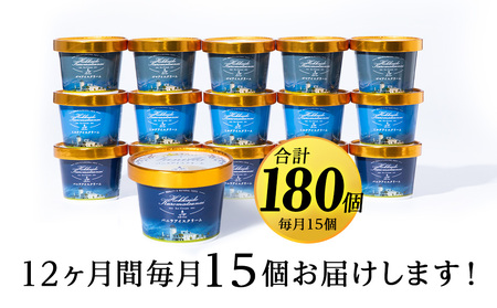 【定期便12カ月】アイスクリーム 15個セット（バニラ・ミルク・ゴマ3種×各5個）工場直送 アイス カップ 食べ比べ 贈り物