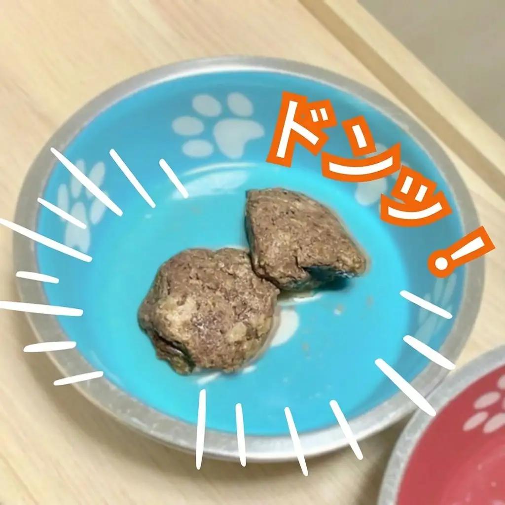 鹿肉 犬用 10パック 約60g 加工食品 お肉 鹿肉