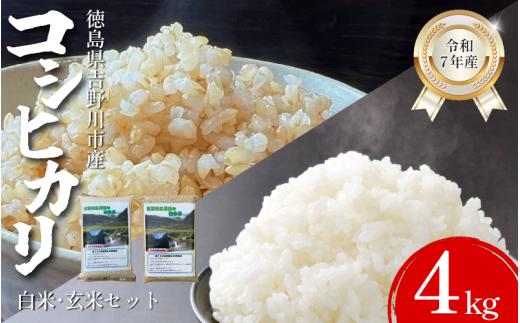 【先行予約】令和7年産 米 選べる 容量 4kg （玄米2㎏、白米2㎏） コシヒカリ 令和7年度産 玄米 白米 セット 玄米白米 小分け 便利 お米 こめ 棚田米 白米 精米 ごはん ご飯 白飯 ゴハン 徳島県 吉野川市