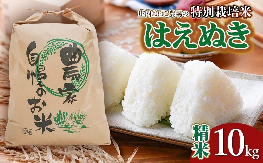 【令和7年産先行予約】庄内おばこ農場の特別栽培米 はえぬき【精米】10kg（10kg×1袋）　K-790