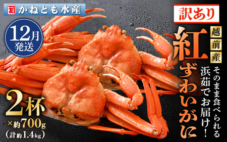 【訳あり】≪浜茹で≫越前産 紅ずわいがに 約700g × 2杯 食べ方しおり付【12月発送分】【紅ズワイガニ カニ かに 蟹 姿 ボイル 冷蔵 福井県】希望日指定不可 [e14-x025_12]