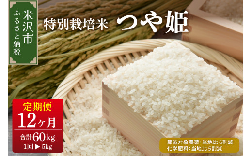 【先行予約】12ヶ月定期便 令和8年産 つや姫 5kg × 12回 計 60kg  特別栽培米 【節減対象農薬：当地比 6割減・化学肥料：当地比 5割減】 〈 2026年 10月 ～ 2027年 9月 配送 〉 ブランド米 産地直送 2026年産
