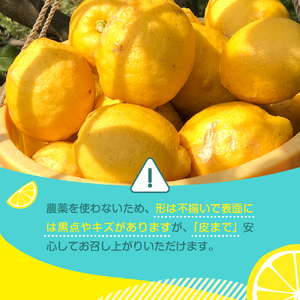 先行受付 2026年11月上旬～発送 国産オーガニックレモン約2kg