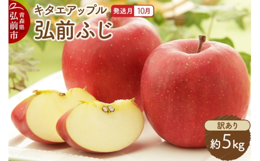【26年10月発送】りんご 弘前ふじ【訳あり】約5kg キタエアップル 青森県 弘前市 [弘前ふじ りんご 訳あり 家庭用 アップル おいしい 果実 果物 赤色 美味 林檎]