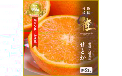 極撰柑橘＜雅＞光センサー合格品・柑橘の大トロ「 せとか 」約2キロ　＜C39-47＞【1380610】