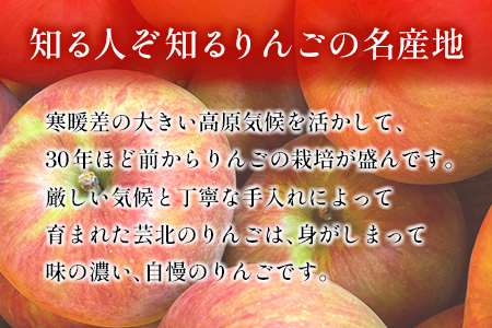 りんご 訳あり ご家庭用 約5kg 中前農園の芸北りんご 農家直送 シナノスイート ぐんま名月 ジョナゴールド ふじ_NA099_002