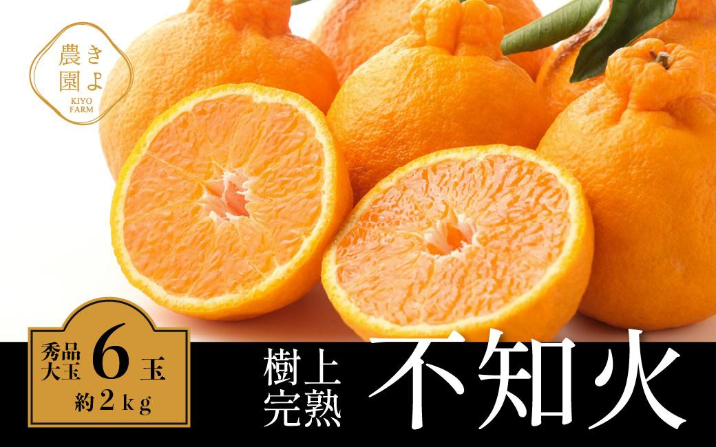 
            不知火 希少な樹上完熟！ 秀品大玉 6個入 (約2kg)　【2026年2月下旬頃～4月中旬頃まで発送】【KT2】
          