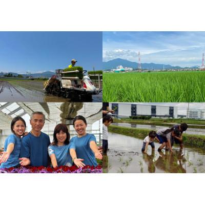 ふるさと納税 伊勢原市 【毎月定期便】合計30kg精米10kg食べ比べ はるみ てんこもり にじのきらめき全3回 |  | 01