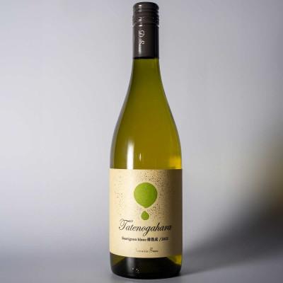 ふるさと納税 富山県 立野原ソーヴィニヨンブラン樽熟成2023