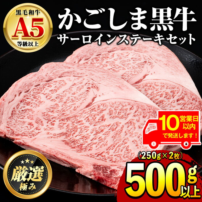 【ふるさと納税】《10営業日以内に発送！》鹿児島県産黒毛和牛！A5等級サーロインステーキ(計500g・約250g×2枚) 国産 牛肉 肉 冷凍 サーロイン 鹿児島 ステーキ 焼肉 BBQ バーベキュー【前田畜産たかしや】【30963】