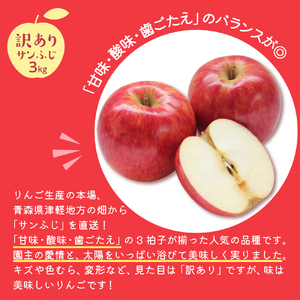 りんご　サンふじ約3kg訳あり1月【2025年1月前半発送】青森りんご3kg 五所川原産りんご さんふじりんご