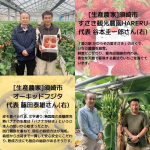 濃恋(こいこい) アイス 2種セット 計6個 いちご 3個 バナナ3個 アイスクリームアイスクリームアイスクリーム