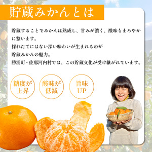 みかん 訳あり 3㎏ 熟成 柑橘 ミカン みかん