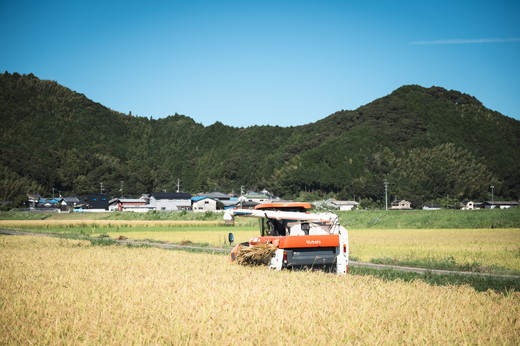 【令和6年産】【自然環境米】鬼北のせせらぎ5kg（鬼北産コシヒカリ） ｜ お米 お米不足 お米品薄 おいしい お米 事業者支援 送料無料 白米 精米 国産 限定 ごはん ご飯 白飯 ゴハン 愛媛県産 