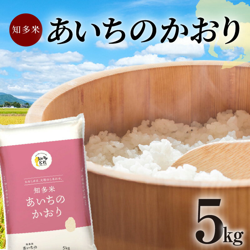 【ふるさと納税】知多米　あいちのかおり5kg ／ お米 白米 うるち米 送料無料 愛知県 特産品