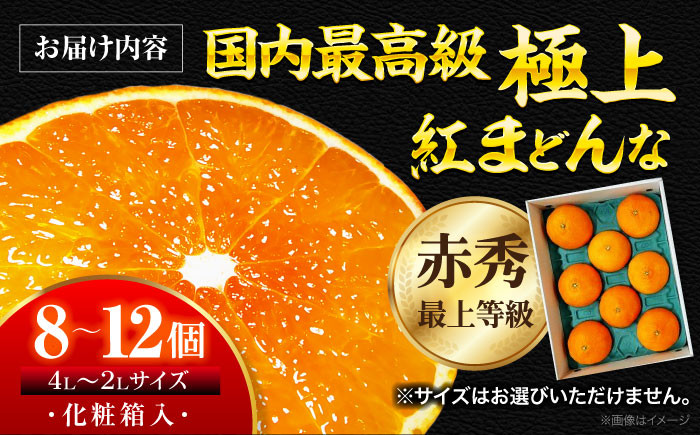 愛媛県オリジナルみかん！ 紅まどんな 赤秀 8個から12個入（JA愛媛たいき管内産）【先行予約】【11月下旬から順次発送】 