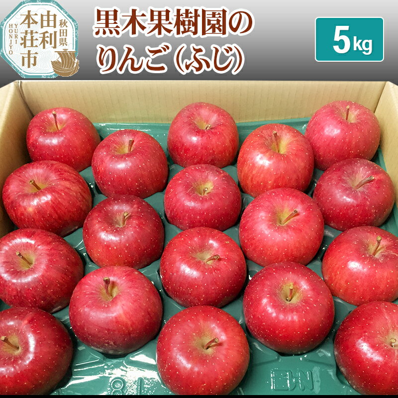 【ふるさと納税】黒木果樹園のりんご（ふじ） 5kg