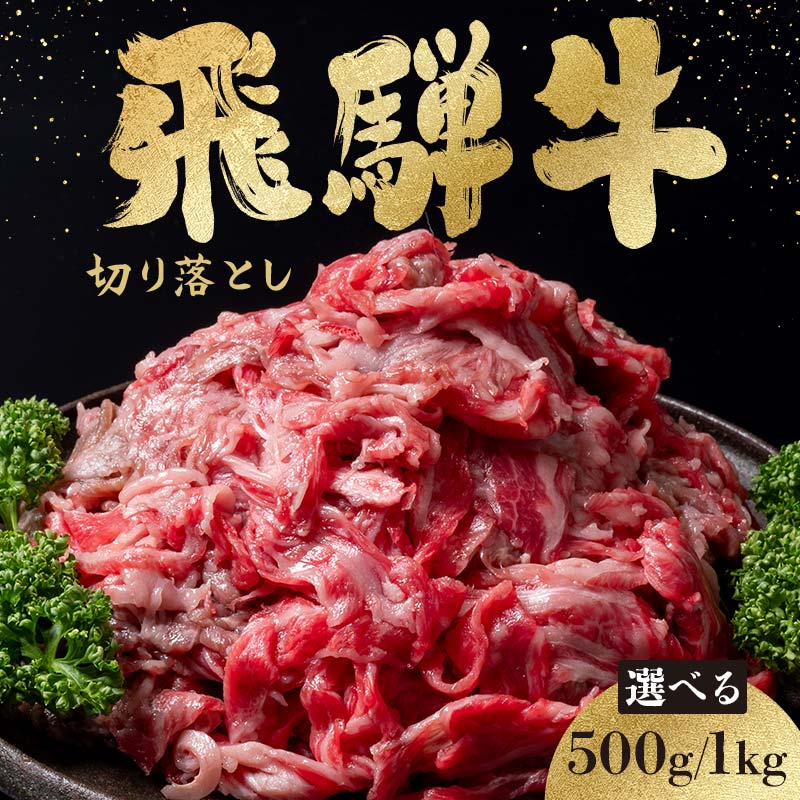 【ふるさと納税】＼容量が選べる！／飛騨牛 切り落とし 250g × 2・4 計500g・1kg モモ 肩 バラ 冷凍【株式会社 熊崎畜産】肉 牛肉 和牛 国産 すき焼き 焼肉 バーベキュー キャンプ お祝い 人気 お取り寄せ グルメ 送料無料【おうち BBQ】 F4N-2857var