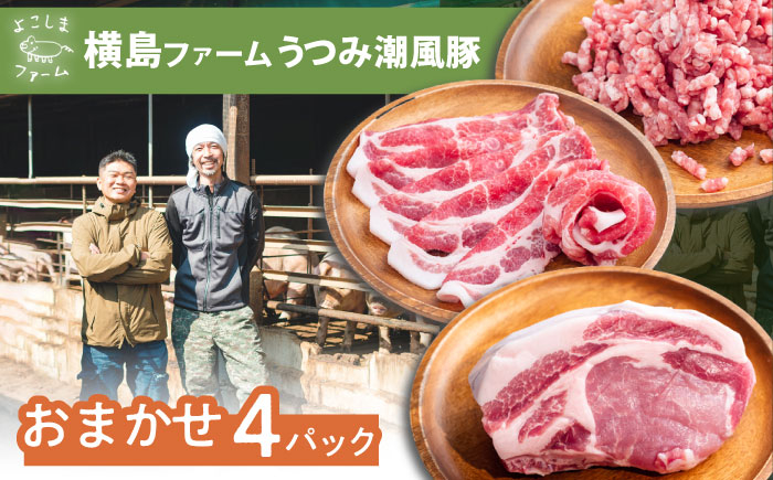 
            豚肉 うつみ潮風豚 精肉おまかせ4パックセット（1P/180g〜280g） 豚肉 スライス 肉 お肉 にく 食品 国産 人気 おすすめ 広島県福山市/株式会社横島ファーム [BABT002]
          