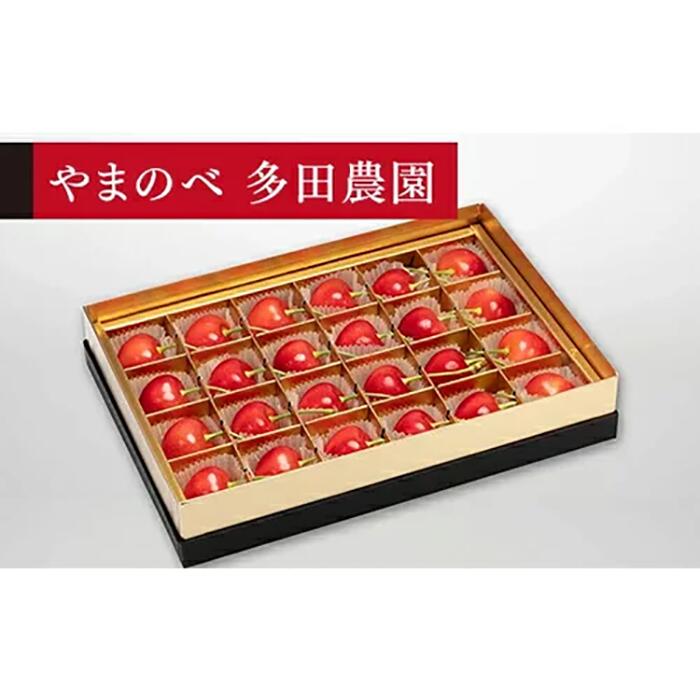 【ふるさと納税】《2026年先行予約》【珠玉のダイアナブライト】みやび箱 24粒【やまのべ多田耕太郎のさくらんぼ 多田農園】期間限定 数量限定 山形県産 サクランボ フルーツ 果物 くだもの 贈答 F4A-0027