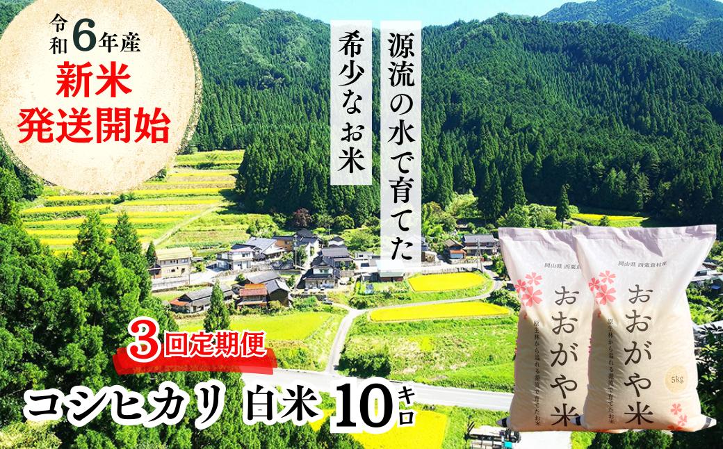 《令和7年産新米予約・10月ごろよりお届け開始》【3回定期便】白米 10kg 令和7年産 コシヒカリ 岡山 「おおがや米」生産組合 G-ag-BEDA