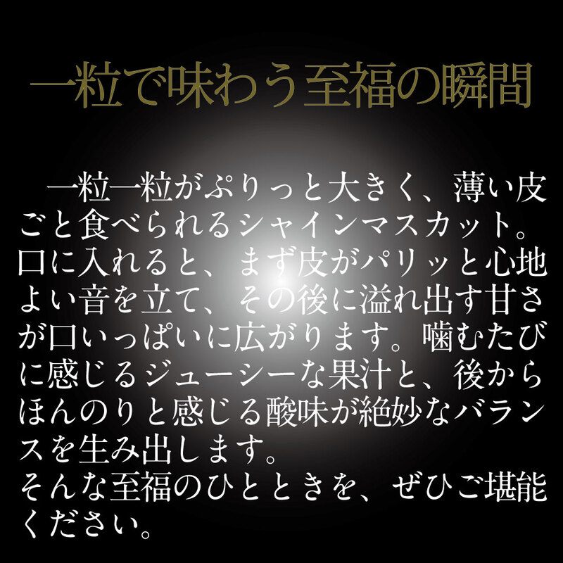 [HS]【定期便全4回】ぶどう先行予約7月・8月・9月・10月発送温室シャインマスカット晴王2房（合計約1.4kg）ブドウ 葡萄  岡山県産 国産 フルーツ 果物 ギフト デザート 食後 酸味が少ない