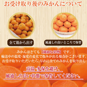 【2025年10月順次発送】 温州みかん 5kg  みかん 温州みかん 完熟 柑橘 果物 フルーツ 国産 新鮮 徳島 小松島【北海道、東北、離島、沖縄配送不可】