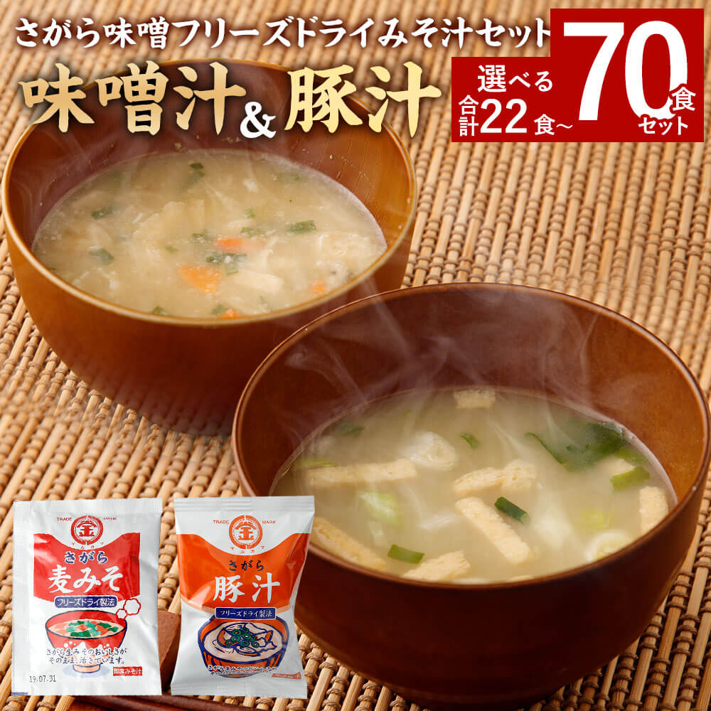 【ふるさと納税】＜選べる セット＞さがら味噌 フリーズドライ 味噌汁 豚汁 合計22食～合計70食セット 即席味噌汁 とん汁 お湯を注ぐだけ インスタント スープ 食品 九州 熊本県 相良村 送料無料