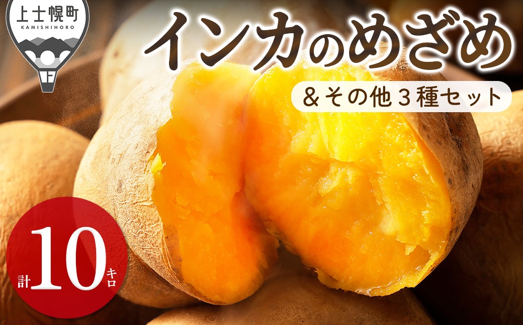 
                  2026年産 先行予約 北海道産 インカのめざめ その他3種 じゃがいも セット 計10kg（2.5kg×4種） 北海道 上士幌町 加藤農場 野菜 秋野菜 インカの目覚め ジャガイモ 馬鈴薯 詰め合わせ 産地直送 ◆2026年11月配送予定 ［012-V83］
                