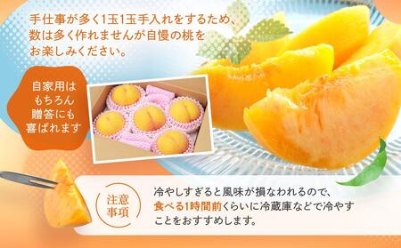 【2026年発送・先行受付】飛騨のたから桃（4-8玉）糖度15度以上 黄桃 極上 GH011