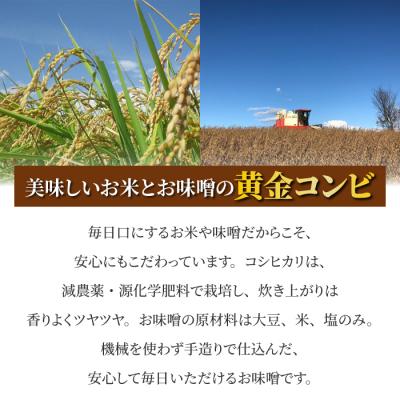 ふるさと納税 東御市 【太陽と大地】八重原産特別栽培米コシヒカリ(白米)2kgと信州味噌「八重原味噌」500gのセット |  | 03
