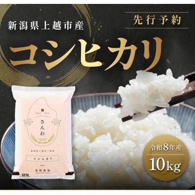 ふるさと納税 上越市 先行予約【12月中旬より順次出荷予定】令和8年産 新潟県 上越市産 コシヒカリ 10kg 白米 精米