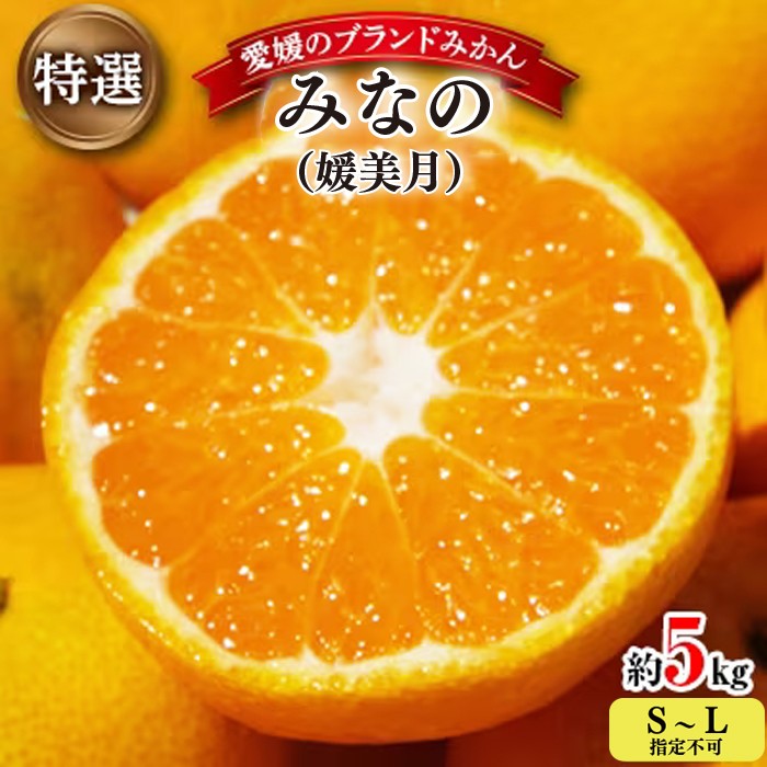 
                  【先行受付】みなの共選・特選「みなの(旧:媛美月)」約5kg＜D28-1＞【1044600】 YWTN001
                