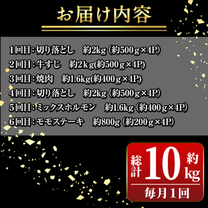 【E01009】＜定期便・全6回＞鹿児島黒牛 満足定期便・満腹セット(全5種・合計10kg) 鹿児島黒牛 モモ 赤身 ホルモン 霜ぶり 霜降り ステーキ 牛すじ 切り落とし 切落し 焼肉 食べ比べ 日