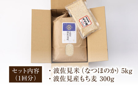 【全12回定期便】【真空包装可能】なつほのか 白米 5kg×12回 計60kg もち麦 300g×12回 計3600g  波佐見町産 セット【冨永米穀店】[ZF12]