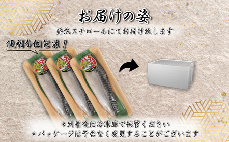 無添加 さば 文化干し 10枚入り 千葉県 銚子市 磯初    