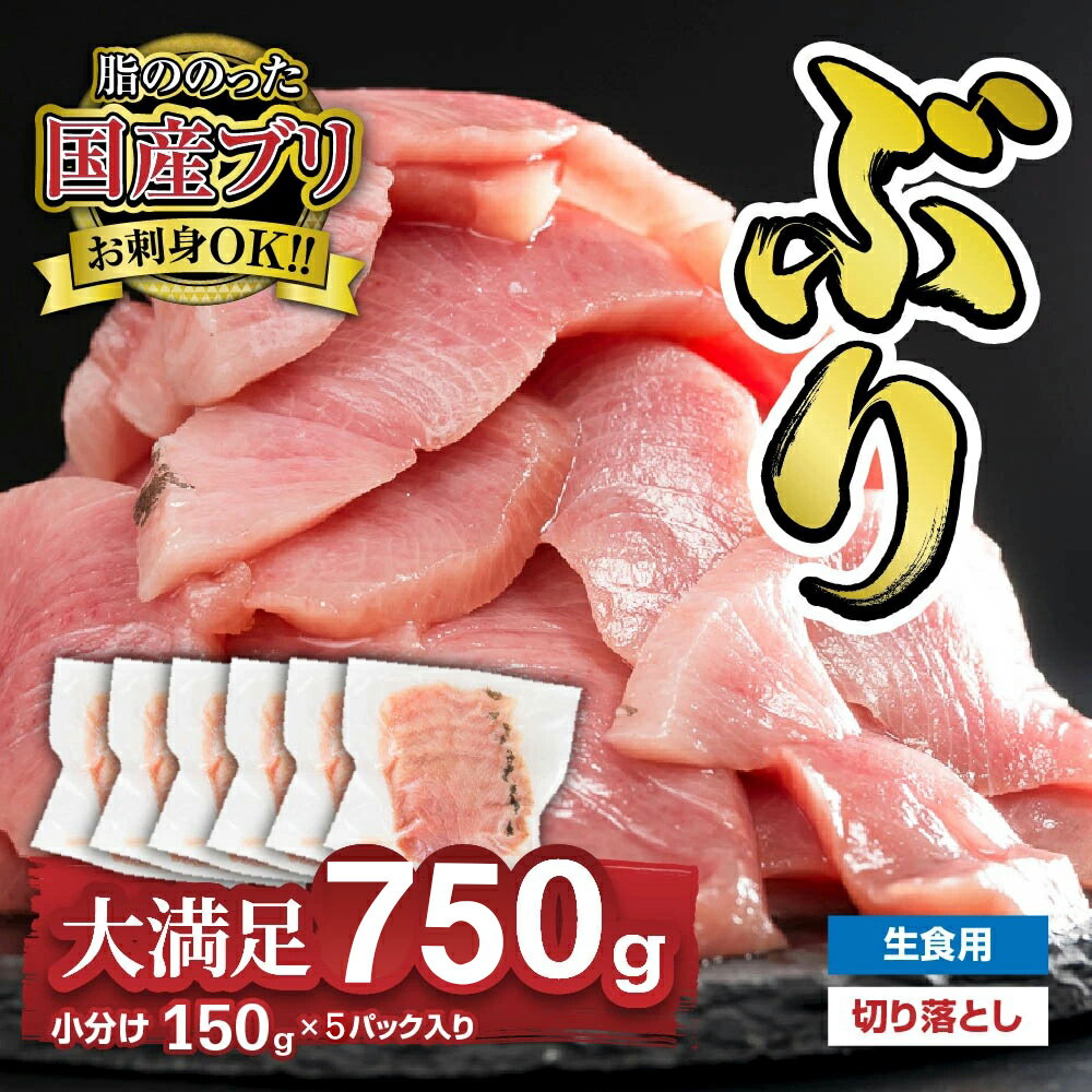 【ふるさと納税】1ヶ月以内にお届け 生食用 ブリ 切り落し 大満足750gセット（150g × 5パック） 小分け ブランド ぶり 鰤 ブリ ぶりしゃぶ しゃぶしゃぶ 魚 切り身 真空 人気 ランキング 高級 大満足 美味しい 贈答 生食用 刺身 お刺身 刺し身 魚介類 海鮮 冷凍 OB-32