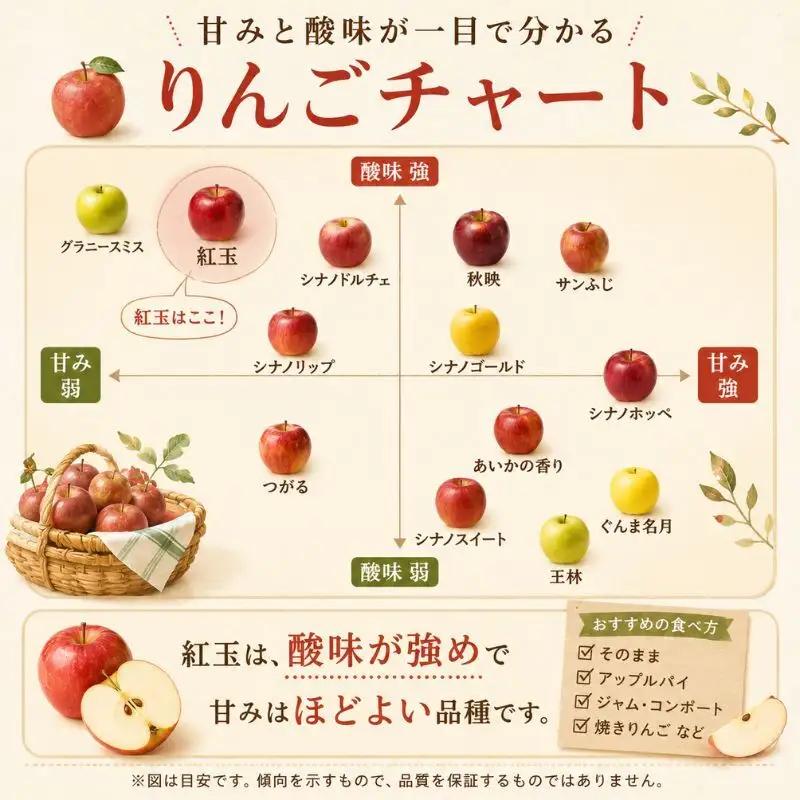 りんご 訳あり 紅玉 4.5kg りんご 