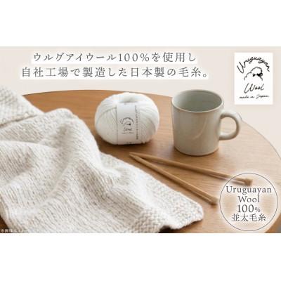 ふるさと納税 江南市 あみもねっと ウルグアイウール並太 1番色 10玉セット |  | 01
